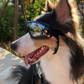 Pet glasses dog supplies goggles waterproof windproof sunscreen UV dog glasses