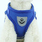 Dog Harness And Leash Set