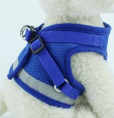 Dog Harness And Leash Set