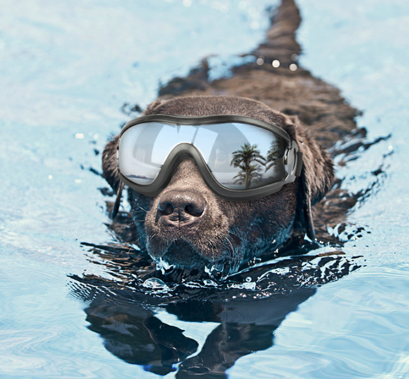Pet glasses dog supplies goggles waterproof windproof sunscreen UV dog glasses