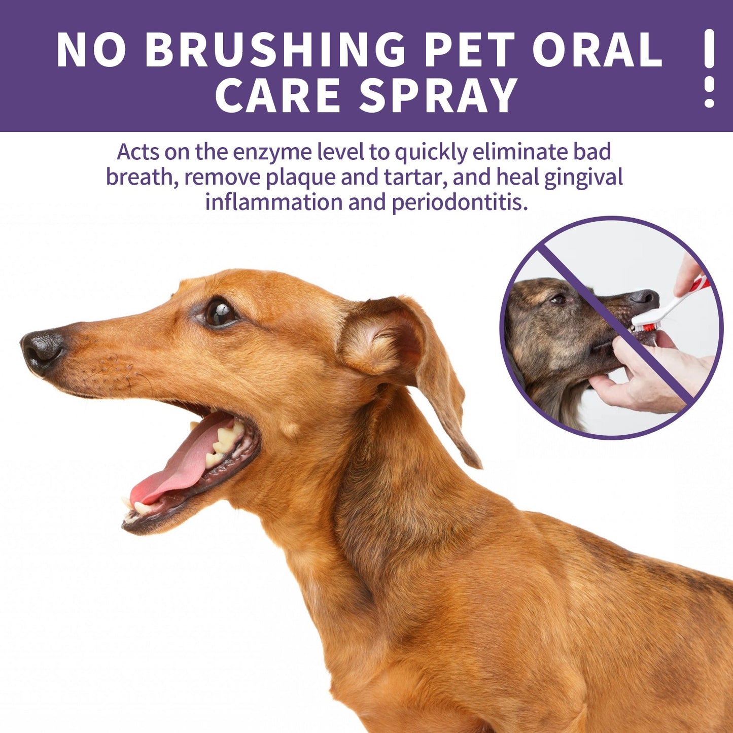 Yegbong Dog and Cat Teeth cleaning spray Pet Oral Cleaning Breath Fresh Deodorant Deodorant Deodorant