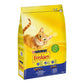 Cat food Purina (4 Kg) - Go Bagheera