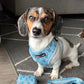 Pupshake Blue Adjustable Harness