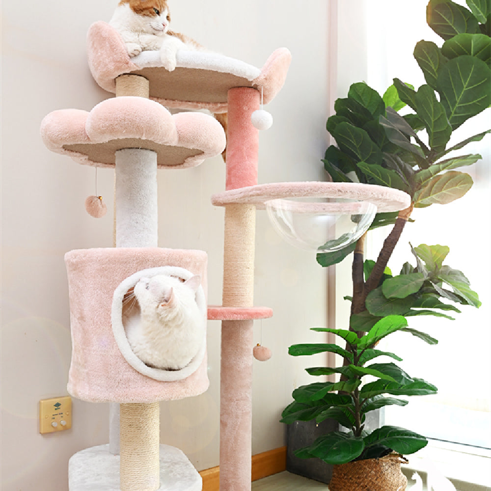 Household Fashion Jumping Platform Cat Toys