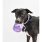 Tpr Tennis Cup Pet Dog Toy - Go Bagheera