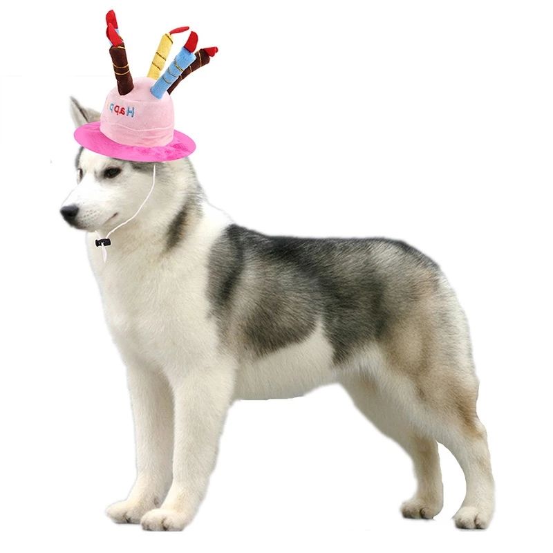 Pet Dog Birthday Hats Dog Headdress Cat Head Cover Cute Weird Cat Birthday Dress Up Faro Birthday Hat - Go Bagheera