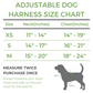 Sweet Treats Adjustable Dog Harness