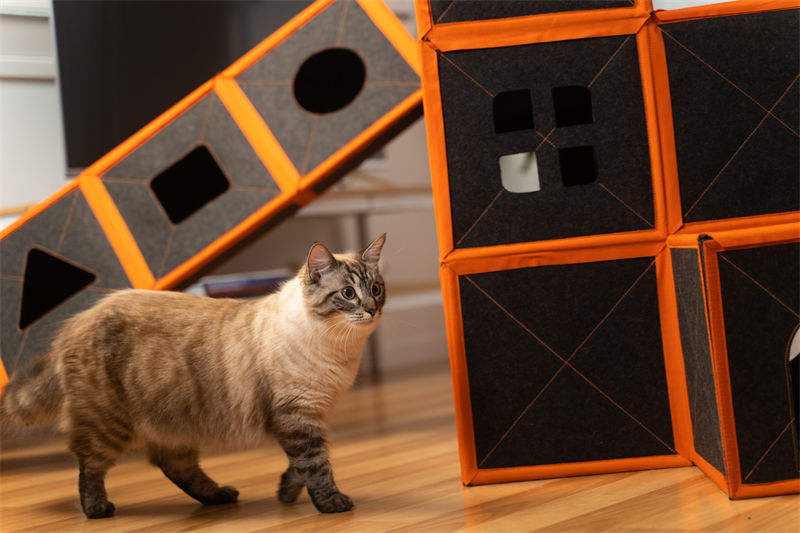 Cardboard Cat House Scratcher Breathable Pet Foldable Cat Toys And House For Cats