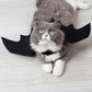 Cute Halloween Cat Costume Small Pet Cat Bat Wings Halloween Cat Wings Hallowen Cat Accessories  Halloween Decorations