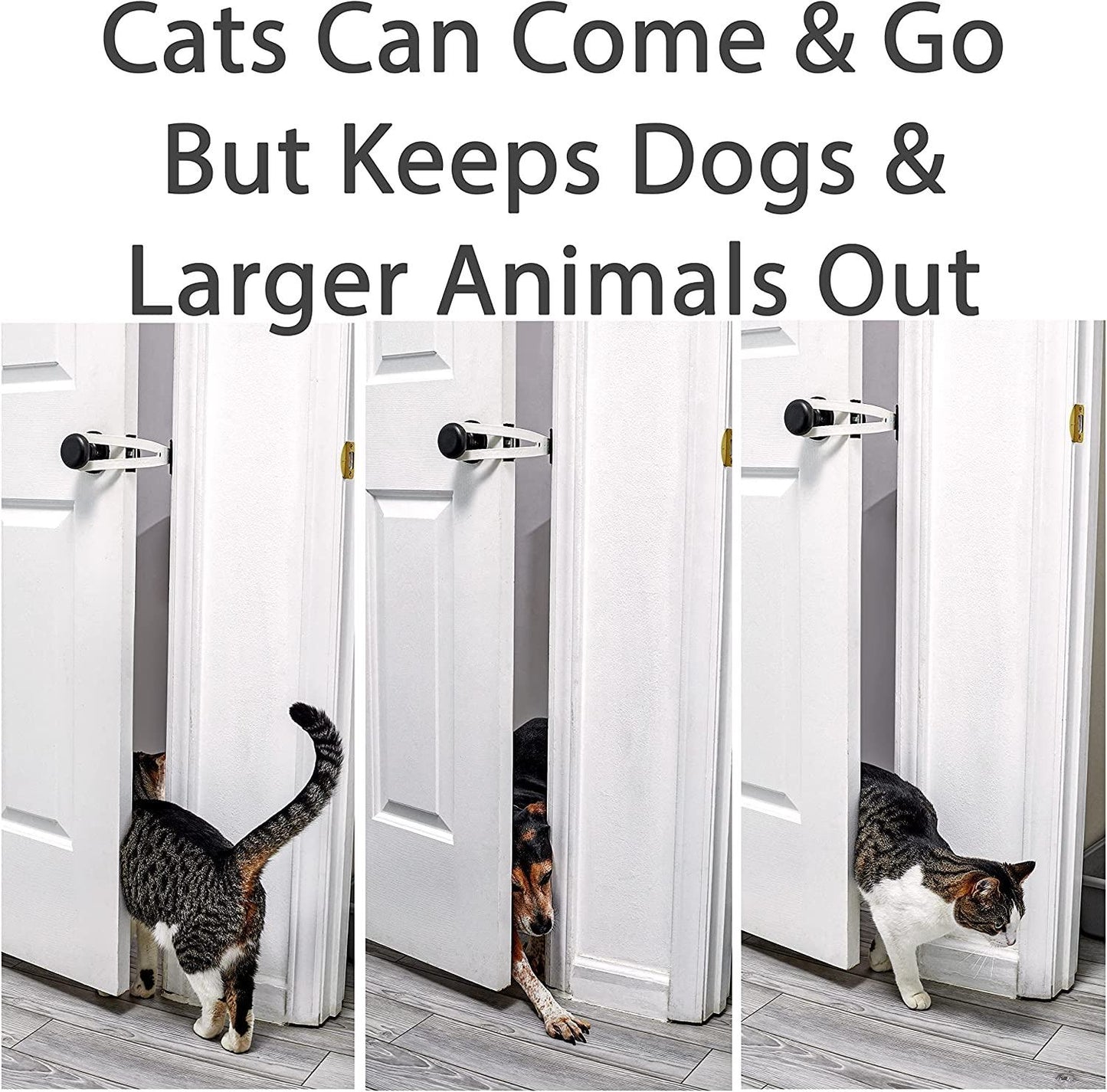 Pet Cat Door Holder Latch Cat Elastic Door Lock Preventing Dogs From Entering - Go Bagheera