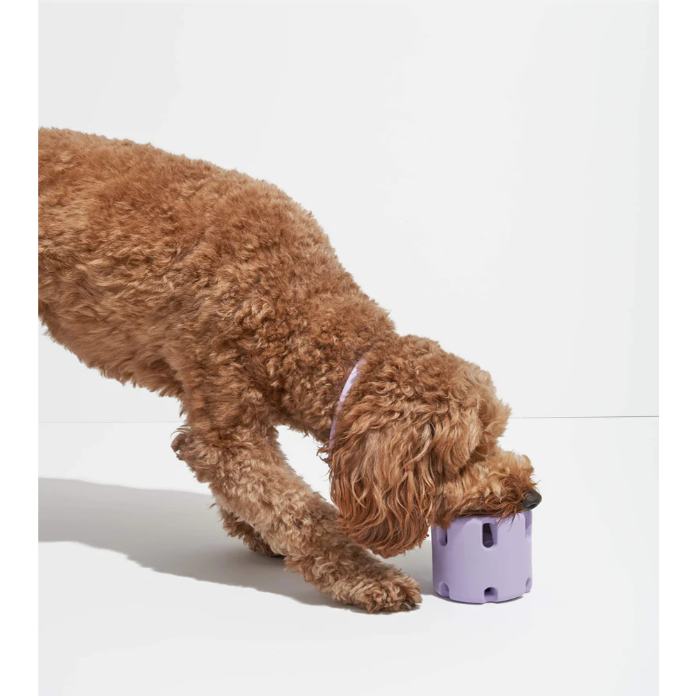 Tpr Tennis Cup Pet Dog Toy - Go Bagheera