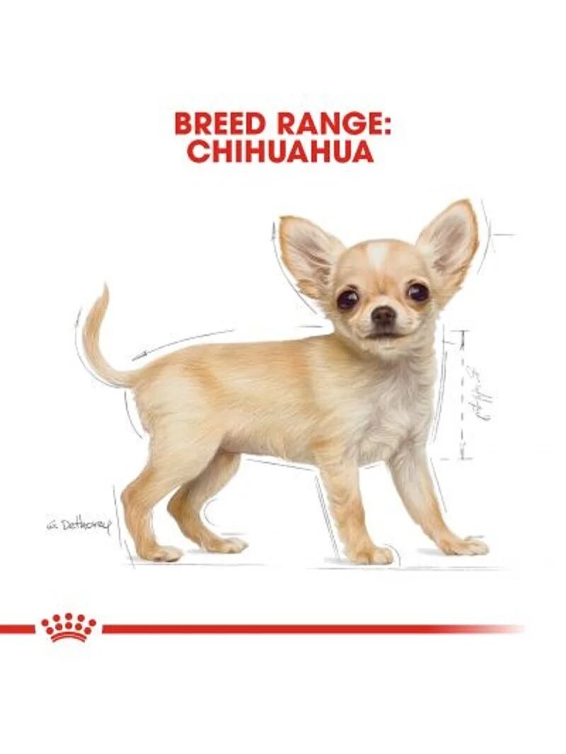 Royal Canin Chihuahua Junior Puppy Food 1.5 Kg Pup Dog Food Healthy Growth Feeding Pet Immunity Flora Support