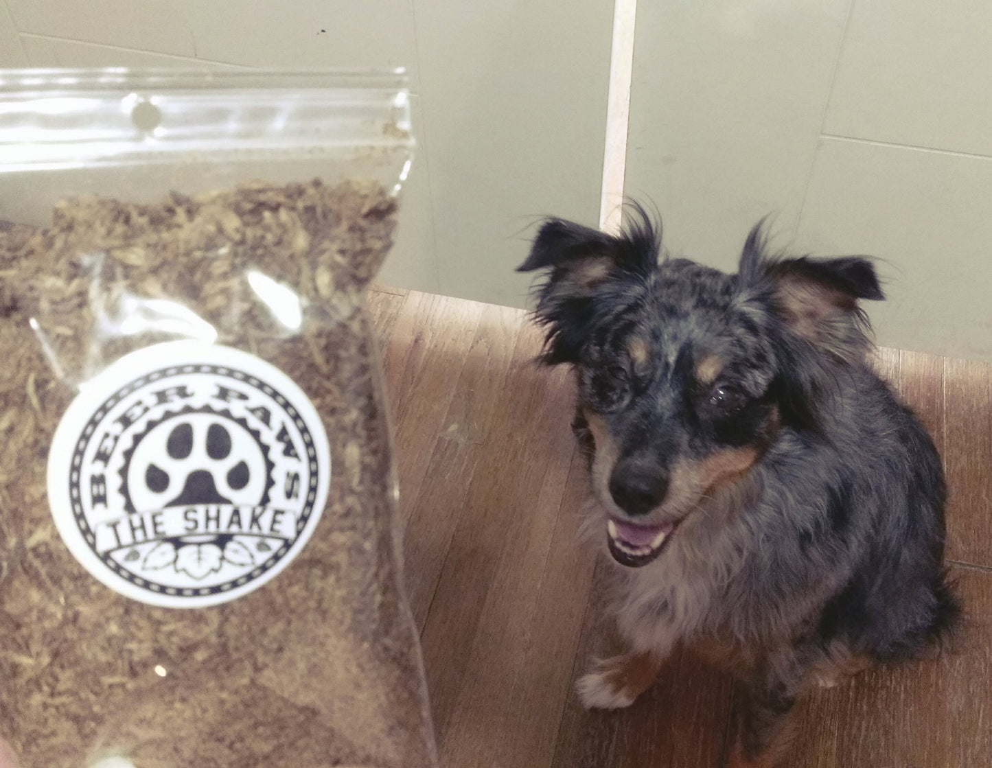 The Shake Food Topper for Dogs