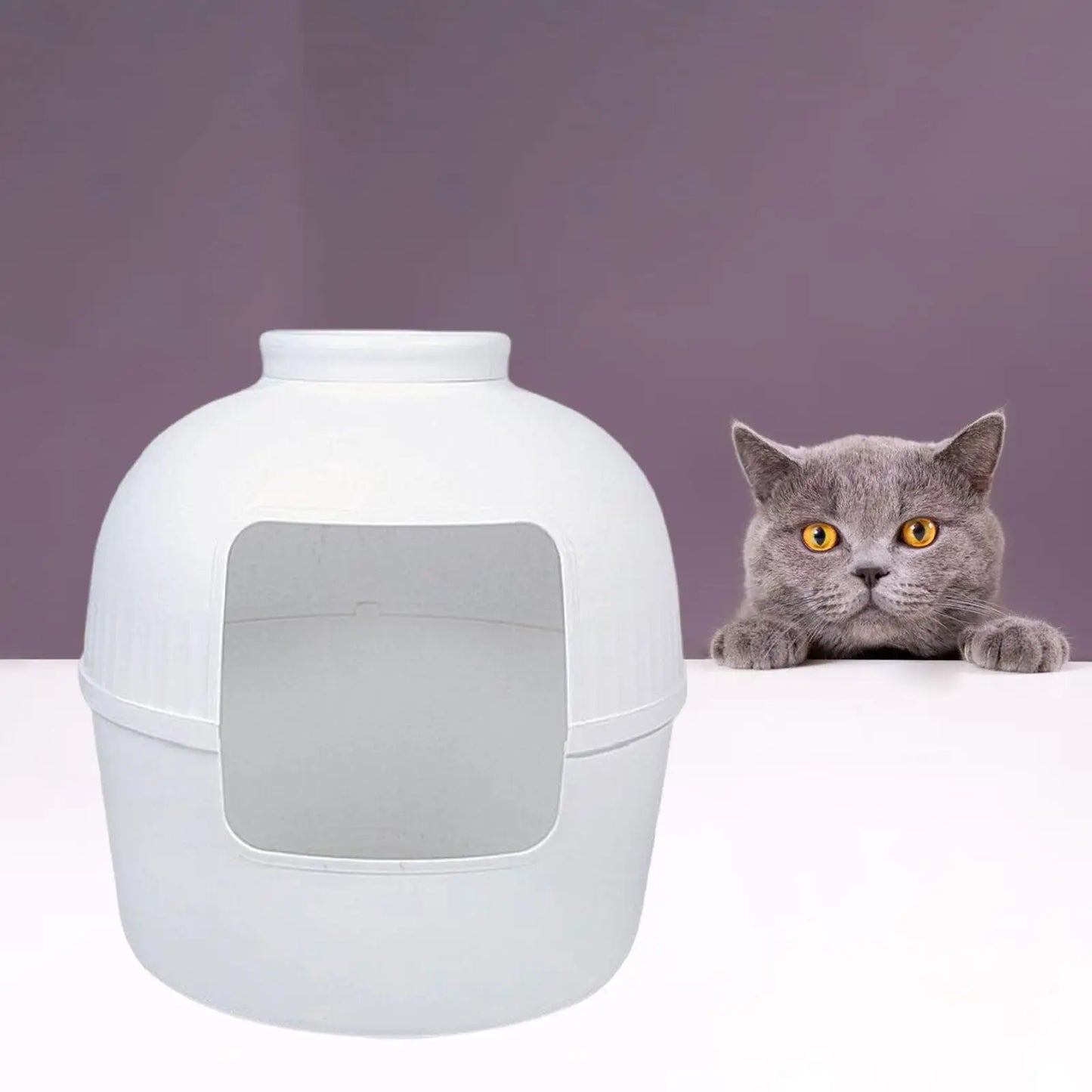 litter Box Plant Litter Boxes Enclosed Cat Litter Box Pet Supplies Cute for Large Cat Small Cat Home Decor Training Gift