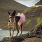 Light Pink Dog Tutu Skirt | XS-XXXL