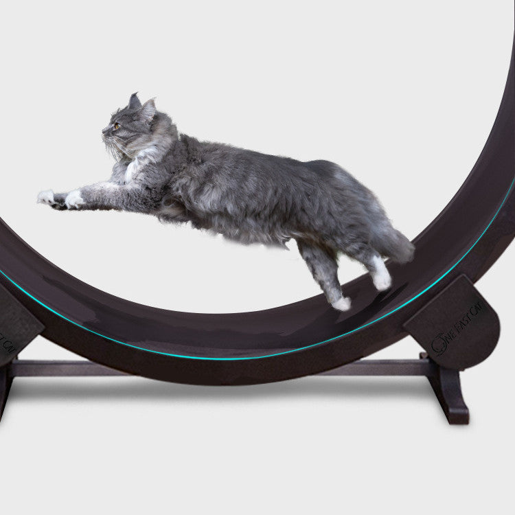 Cat Treadmill Running Wheel Silent Climbing Frame
