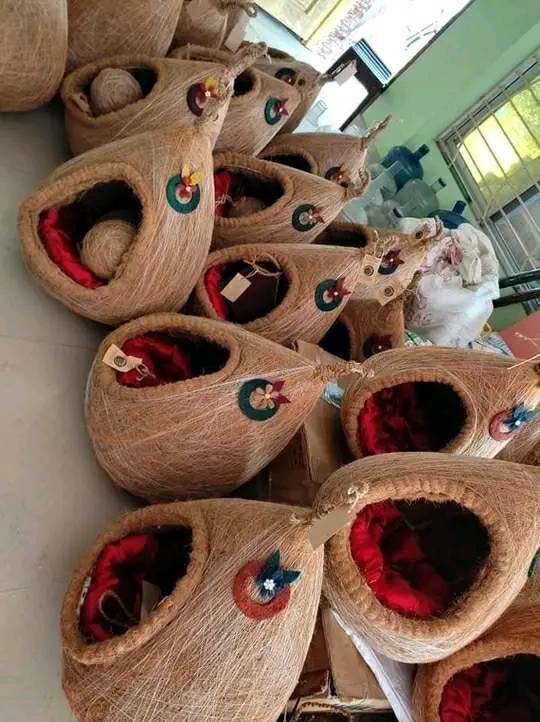 Coconut Cat house