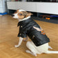 Dog coat - Go Bagheera