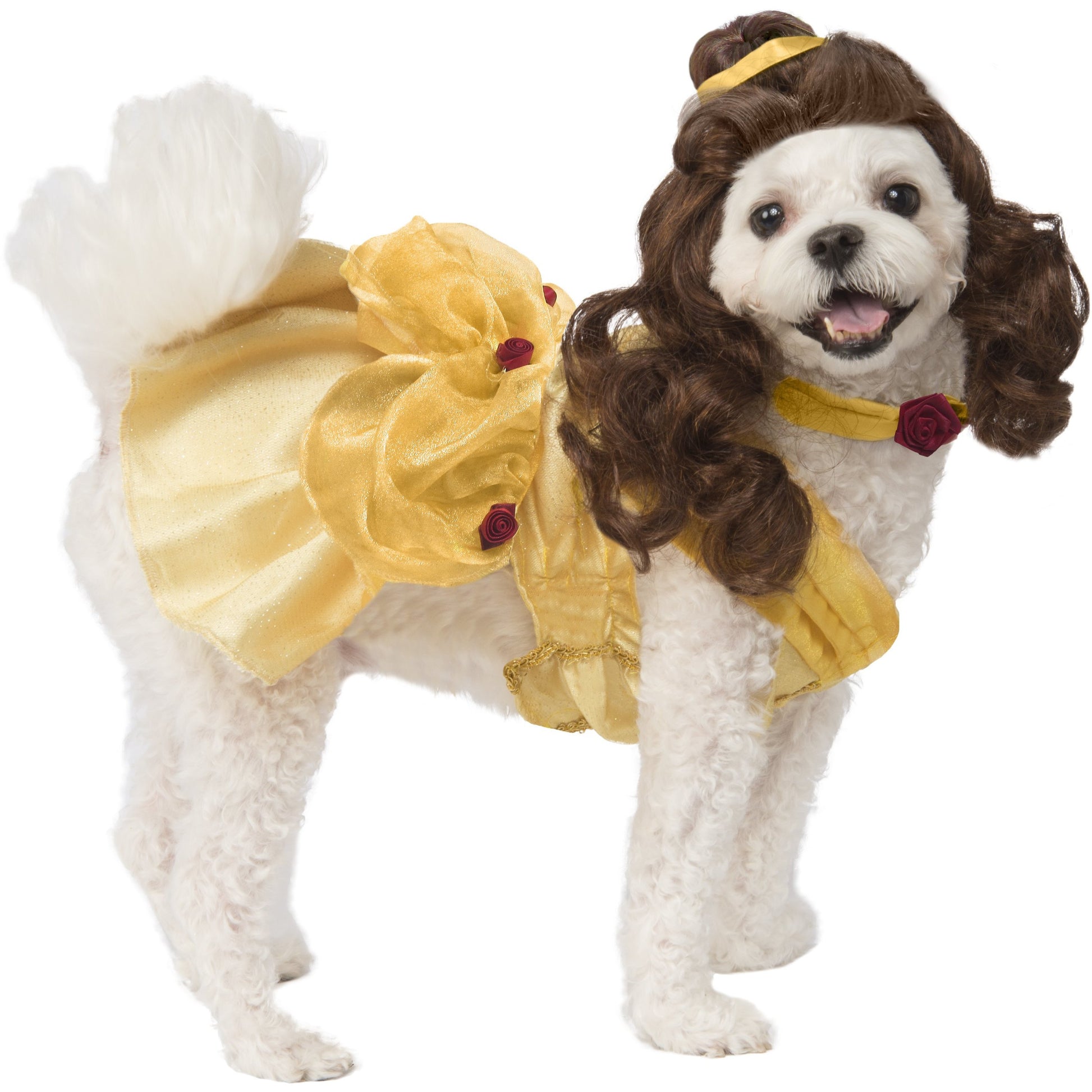 Belle Disney Princess Pet Costume - Go Bagheera