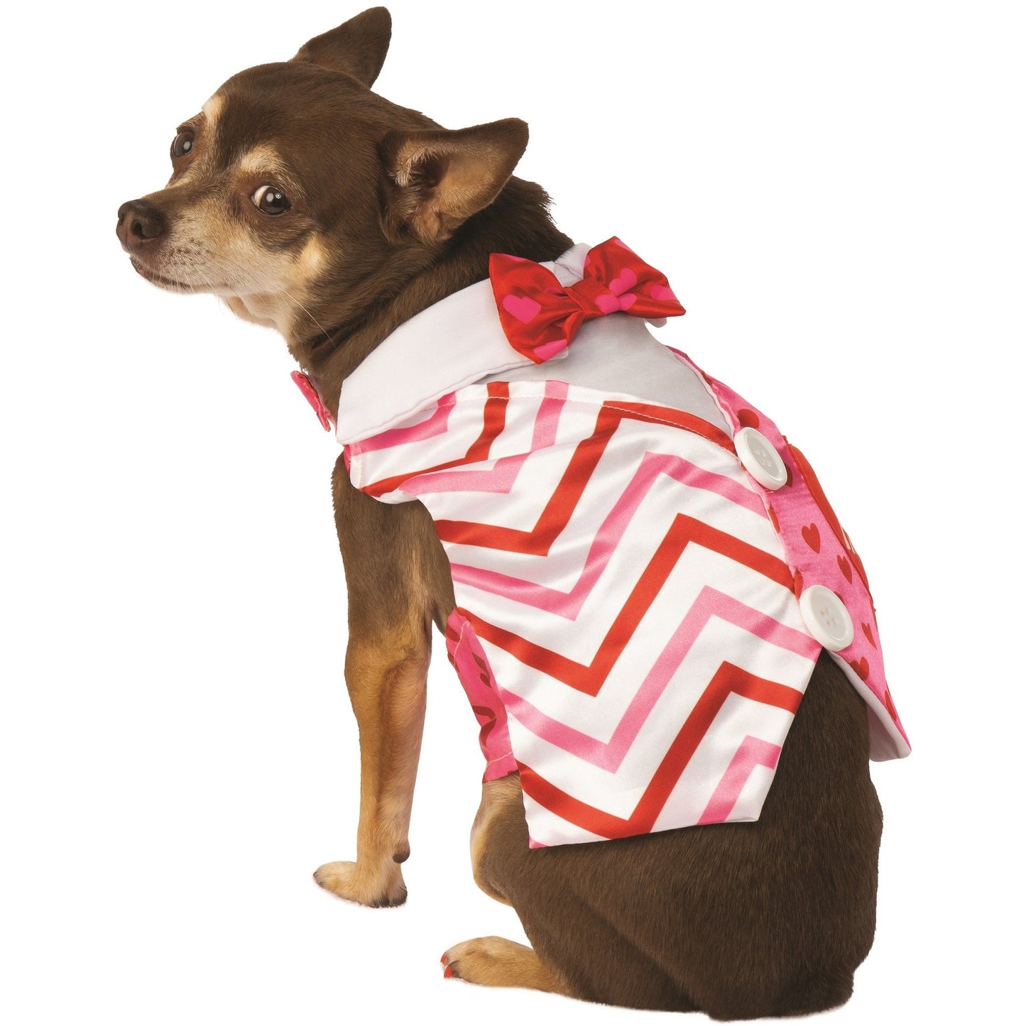 Valentine Day Vest Pet Costume - Go Bagheera