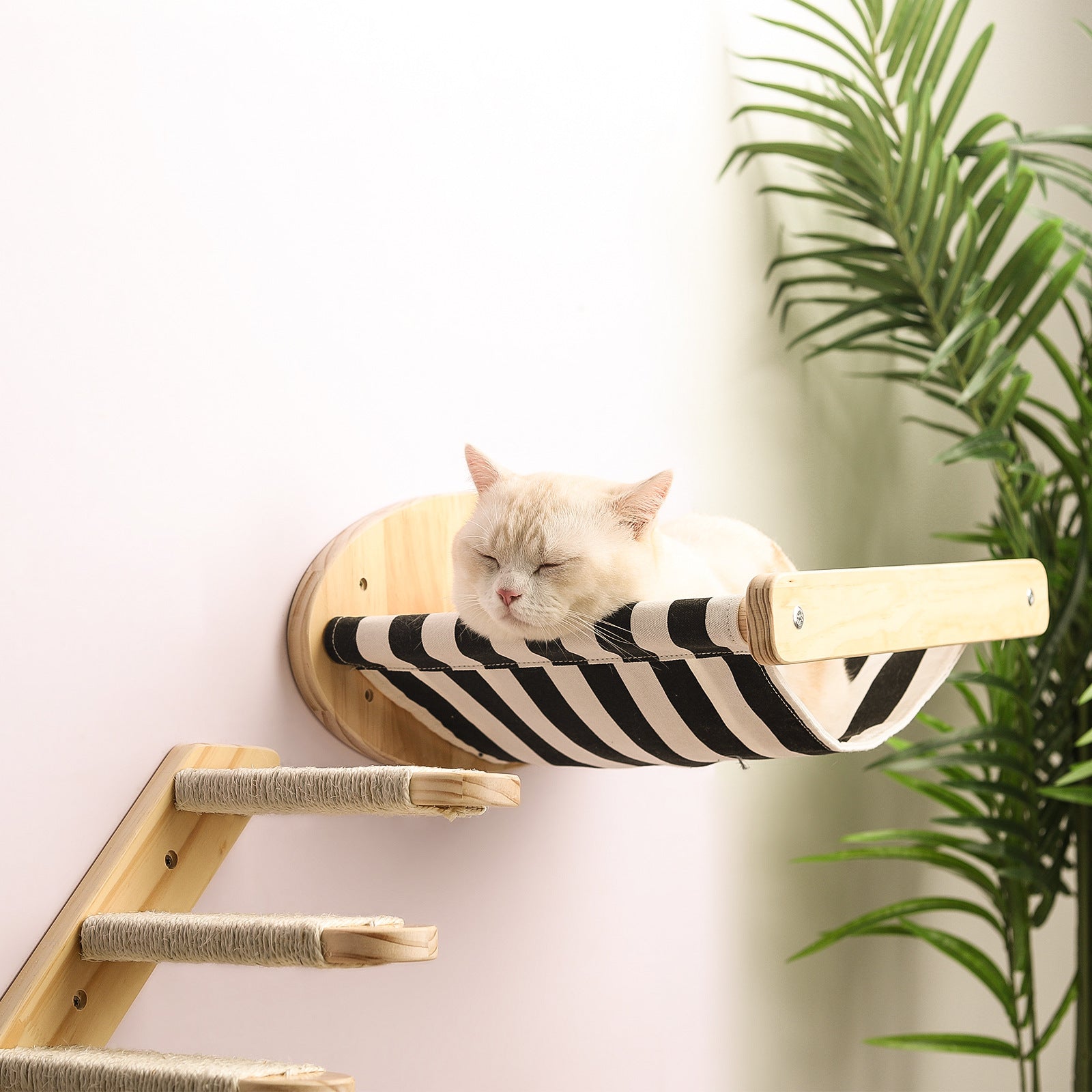 Cat Climbing Frame Wall-Mounted Solid Wood Wall Hanging Sisal Column Cat Toy Jumping Platform Scratching Board - Go Bagheera