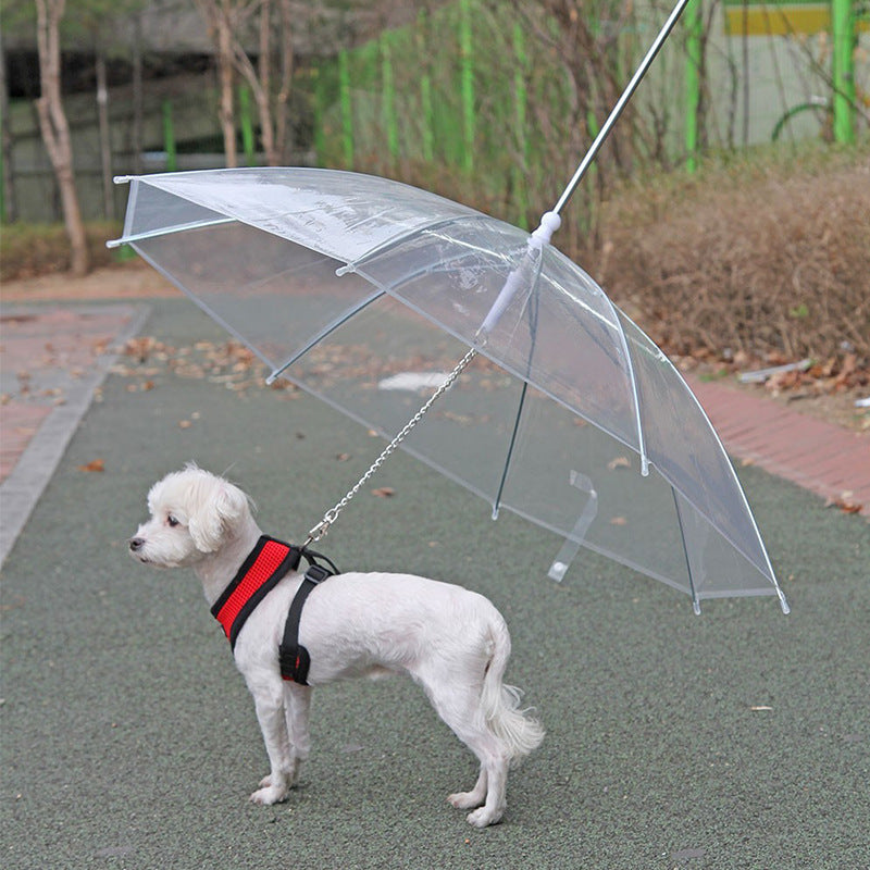 Pet Umbrella Leash - Go Bagheera