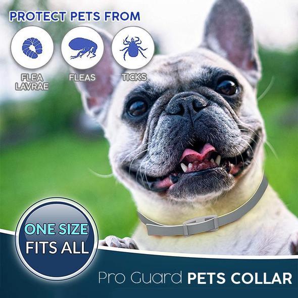 Pro Guard Flea and Tick Pet Collar - Go Bagheera