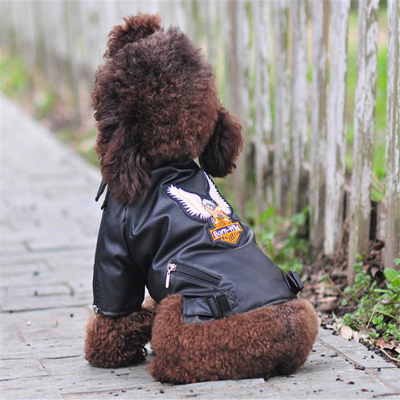Dog coat - Go Bagheera