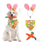 New Easter Pet Party Decor Kit - Go Bagheera