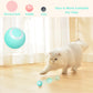 Smart Cat Ball Toys - Go Bagheera