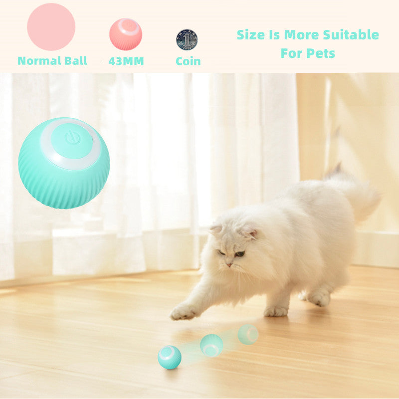 Smart Cat Ball Toys - Go Bagheera
