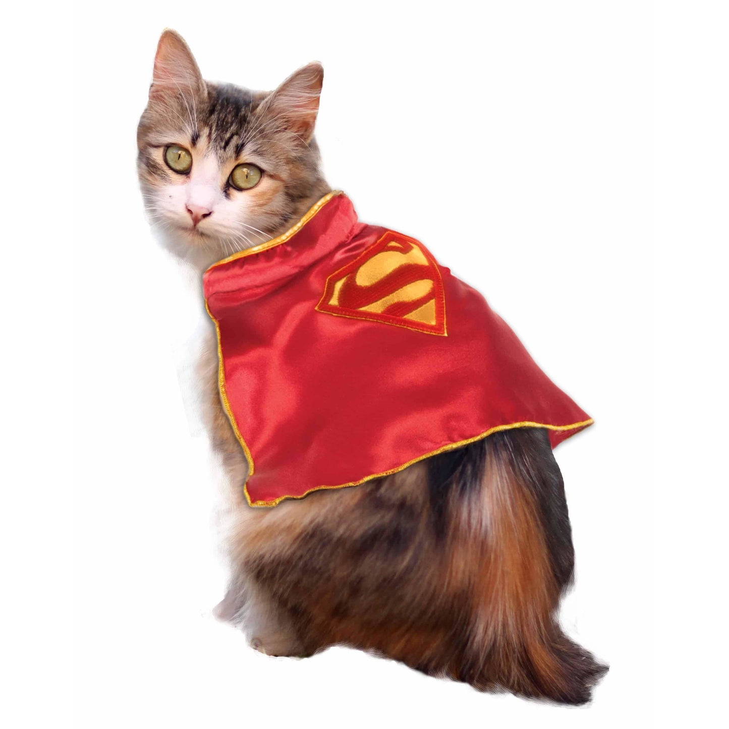 Superman Cape Cat Costume - Go Bagheera