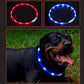 Luminous Pet Collar - Go Bagheera