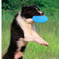 Soft Non-Slip Dog Flying Disc - Go Bagheera