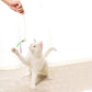 Interactive Cat Teasing Toy - Go Bagheera