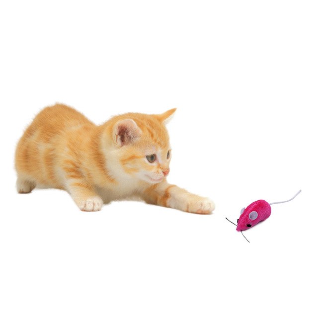 Pet Cat Mouse Toys Lovely Interactive Rabbit Dog - Go Bagheera