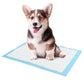 Super Absorbent Pet Diaper Dog Training Pee Pads Disposable Healthy Nappy Mat For Cats Dog Diapers Cage Mat Pet Supplies - Go Bagheera