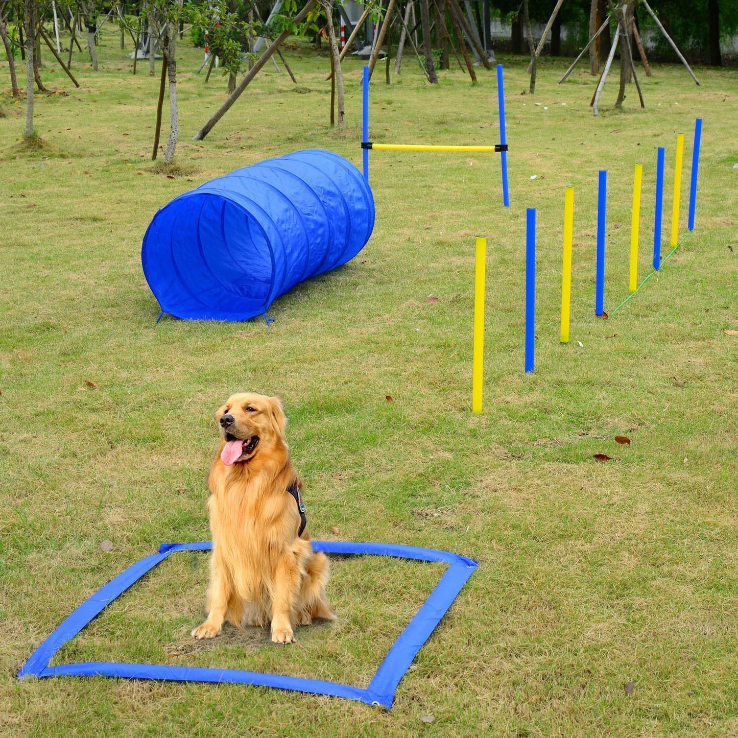 PawHut Dog Agility Starter Kit Pet Outdoor Exercise Training Set - Go Bagheera