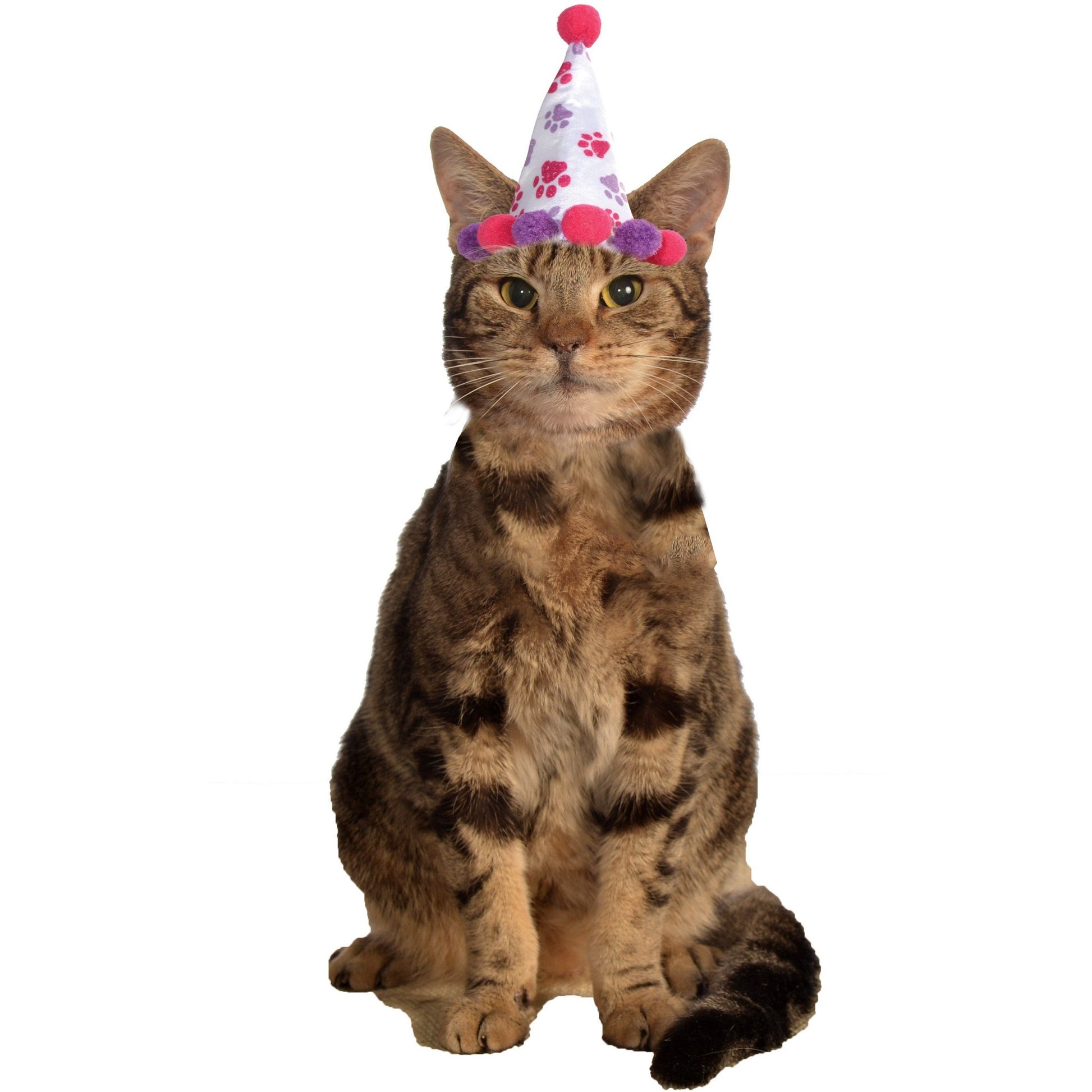 Birthday Girl Cat Hat - Go Bagheera