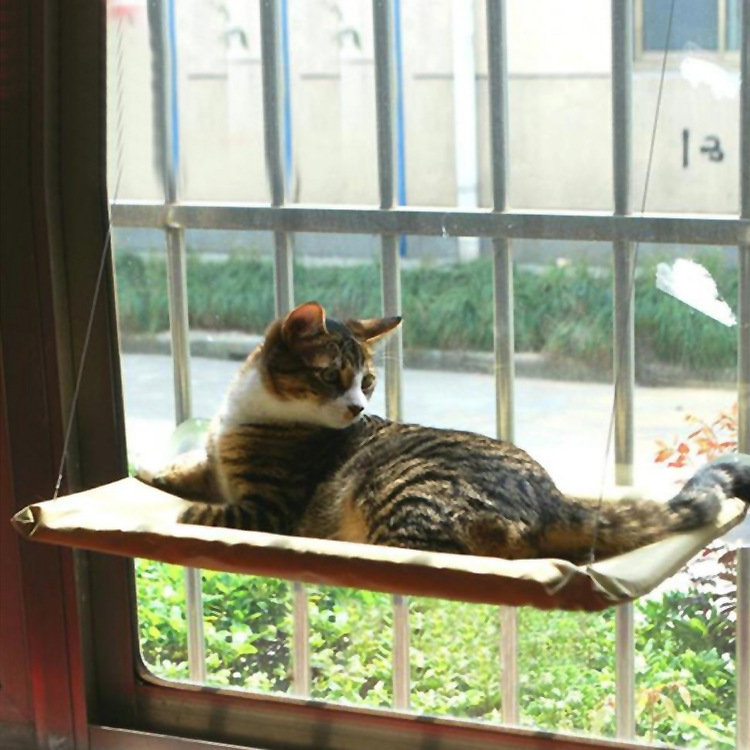 Cat Window Bed - Go Bagheera